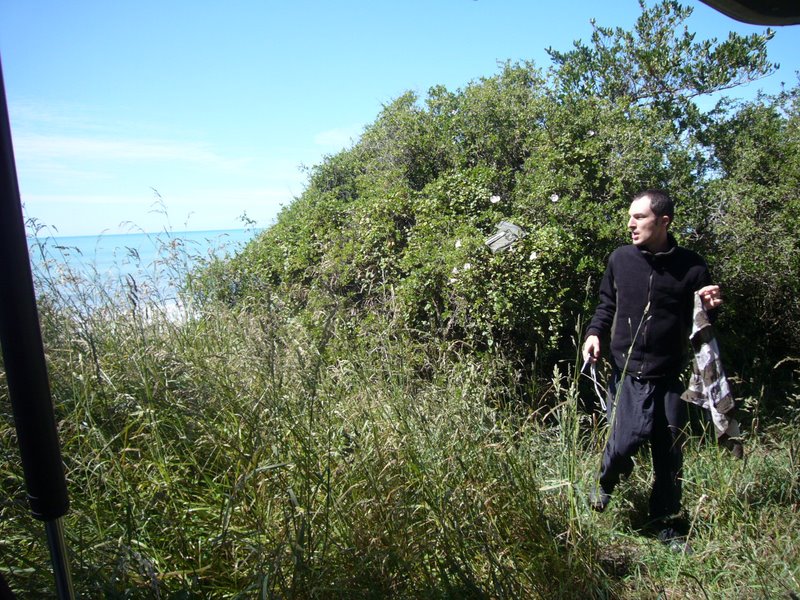 Charging phone on bush